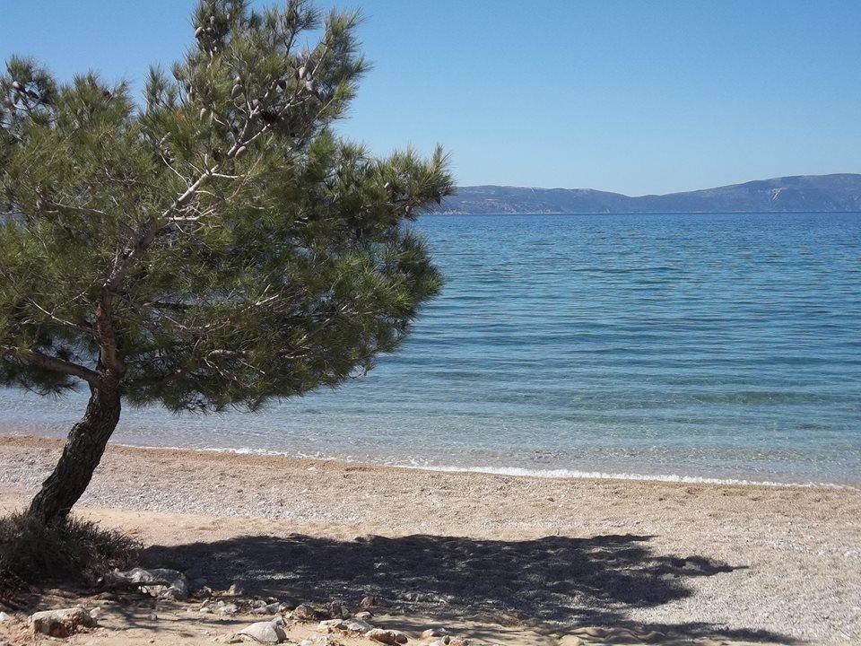 Apartments Relax Punat Exterior foto